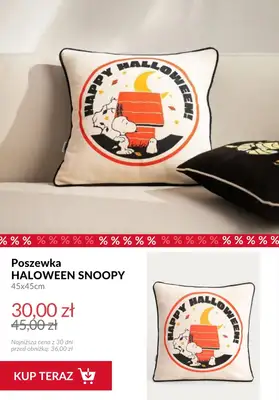 Homla - gazetka promocyjna Kolekcja Peanuts na halloween od środy 15.10  - strona 4 Homla - gazetka promocyjna Kolekcja Peanuts na halloween od środy 15.10  - strona 4