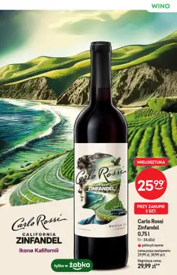 Żabka - gazetka promocyjna Katalog win od środy 15.10 do wtorku 28.10 - strona 13