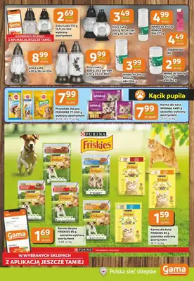 Gama - gazetka promocyjna Gazetka od czwartku 16.10 do wtorku 28.10 - strona 9
