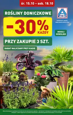 Aldi - gazetka promocyjna Rośliny doniczkowe 30% taniej! od środy 15.10 do soboty 18.10