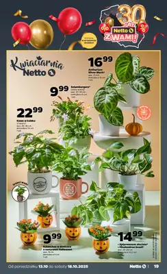 Netto - gazetka promocyjna Gazetka Spożywcza od poniedziałku 13.10 do soboty 18.10 - strona 19