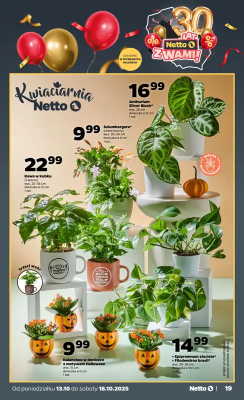 Netto - gazetka promocyjna Gazetka Spożywcza od poniedziałku 13.10 do soboty 18.10 - strona 19