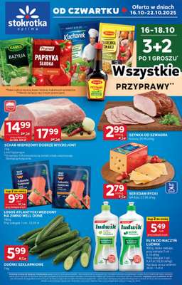 Stokrotka - gazetka promocyjna Gazetka Optima od czwartku 16.10 do środy 22.10