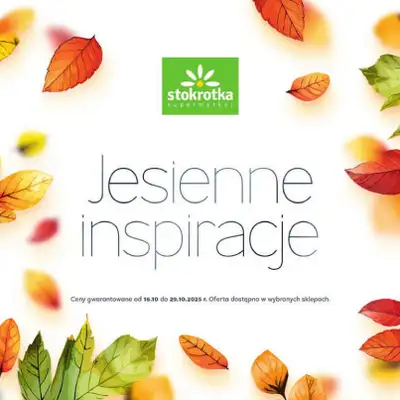 Stokrotka - gazetka promocyjna Katalog Jesienne inspiracje  do środy 29.10