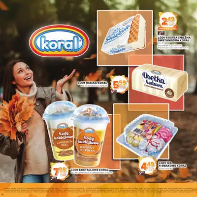Stokrotka - gazetka promocyjna Katalog Jesienne inspiracje  do środy 29.10 - strona 14
