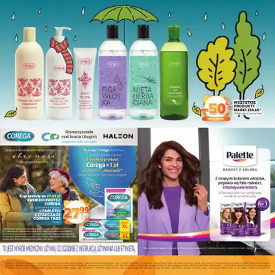 Stokrotka - gazetka promocyjna Katalog Jesienne inspiracje  do środy 29.10 - strona 31