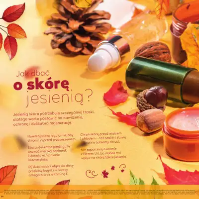 Stokrotka - gazetka promocyjna Katalog Jesienne inspiracje  do środy 29.10 - strona 30