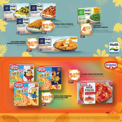 Stokrotka - gazetka promocyjna Katalog Jesienne inspiracje  do środy 29.10 - strona 13