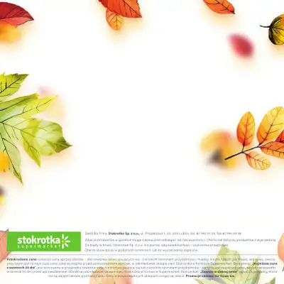 Stokrotka - gazetka promocyjna Katalog Jesienne inspiracje  do środy 29.10 - strona 40