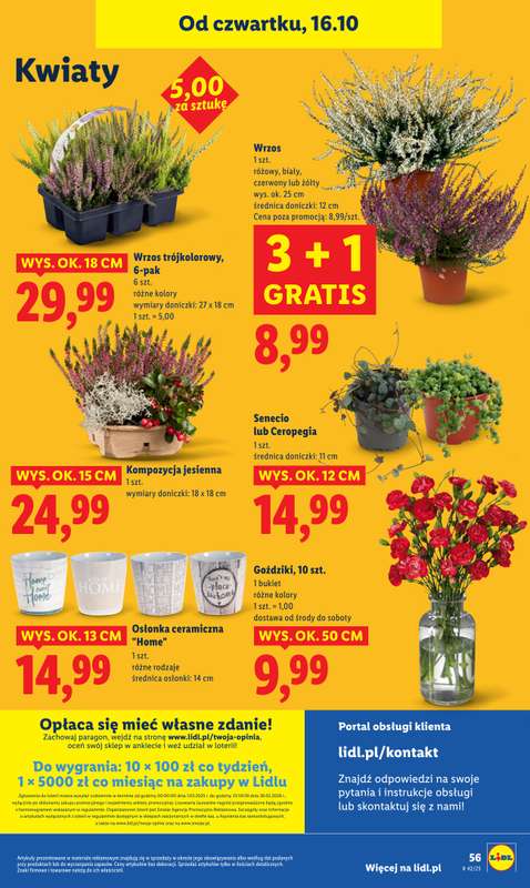 Lidl - gazetka promocyjna Oferta od czwartku od czwartku 16.10 do soboty 18.10 - strona 62