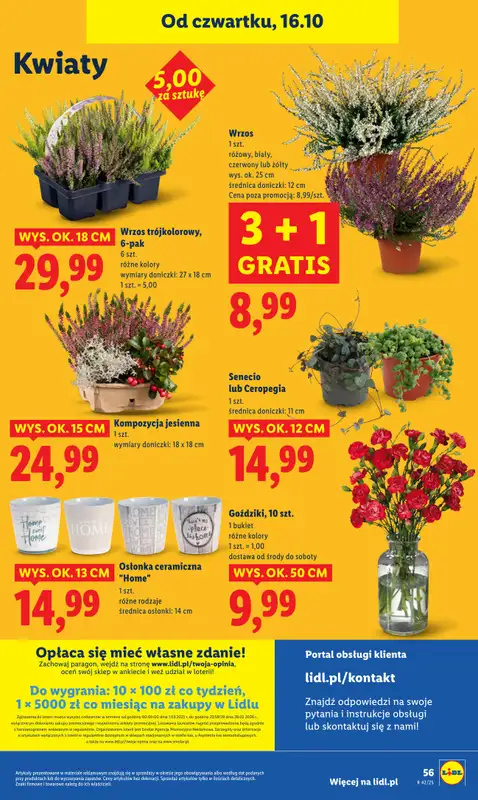 Lidl - gazetka promocyjna Oferta od czwartku od czwartku 16.10 do soboty 18.10 - strona 62