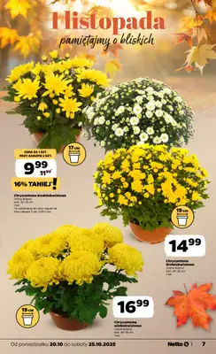Netto - gazetka promocyjna Gazetka Spożywcza od poniedziałku 20.10 do soboty 25.10 - strona 7