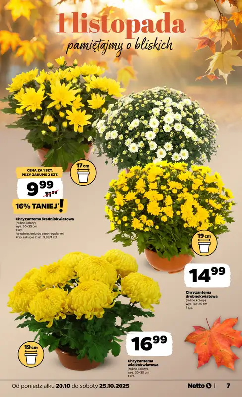 Netto - gazetka promocyjna Gazetka Spożywcza od poniedziałku 20.10 do soboty 25.10 - strona 7