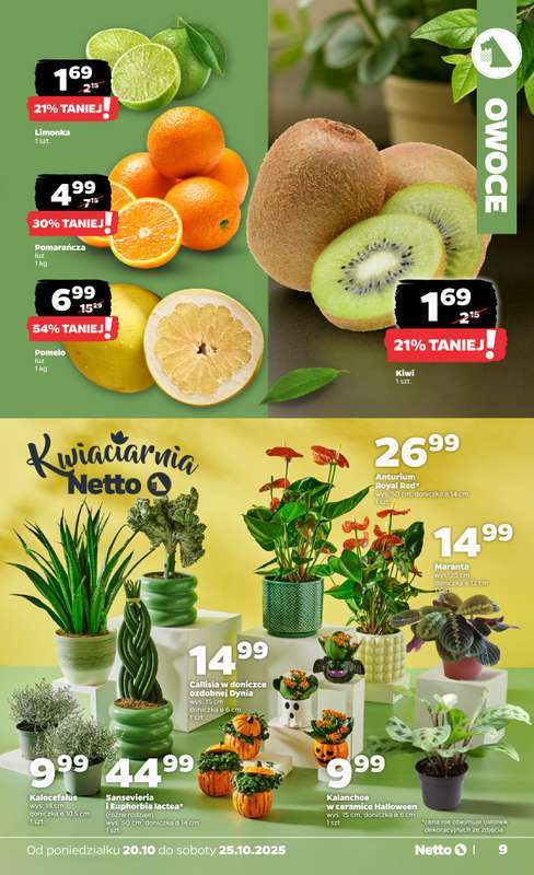 Netto - gazetka promocyjna Gazetka Spożywcza od poniedziałku 20.10 do soboty 25.10 - strona 9
