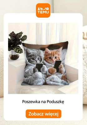 Temu - gazetka promocyjna Dekoracje na kanapę od piątku 17.10  - strona 6