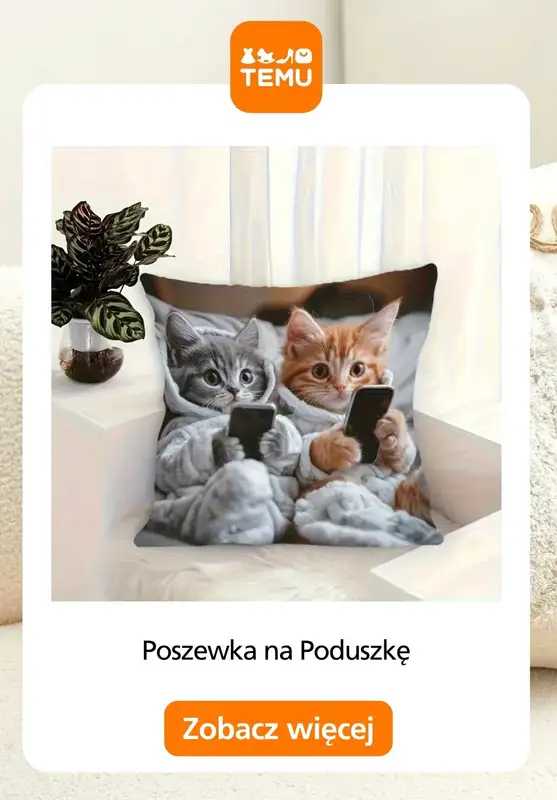 Temu - gazetka promocyjna Dekoracje na kanapę od piątku 17.10  - strona 6