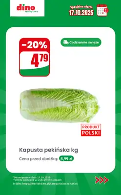 Dino - gazetka promocyjna Specjalna oferta na 17.10.2025 - promocje spoza gazetki od piątku 17.10 do piątku 17.10 - strona 6
