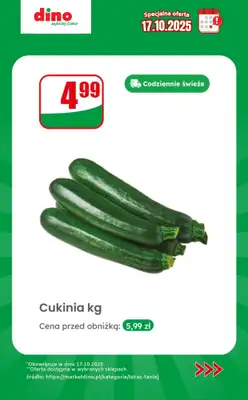 Dino - gazetka promocyjna Specjalna oferta na 17.10.2025 - promocje spoza gazetki od piątku 17.10 do piątku 17.10 - strona 7