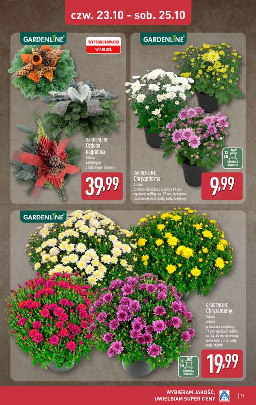 Aldi - gazetka promocyjna Weekend super cen w Aldi! od czwartku 23.10 do soboty 25.10 - strona 11