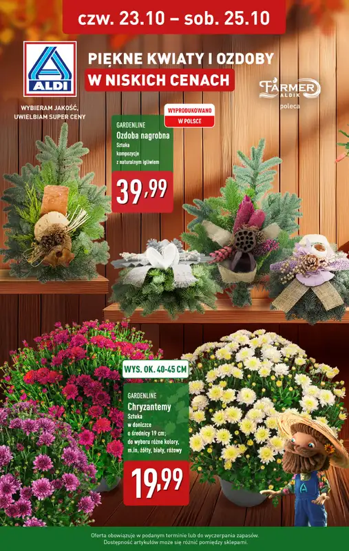 Aldi - gazetka promocyjna Kwiaty i ozdoby w niskich cenach!  