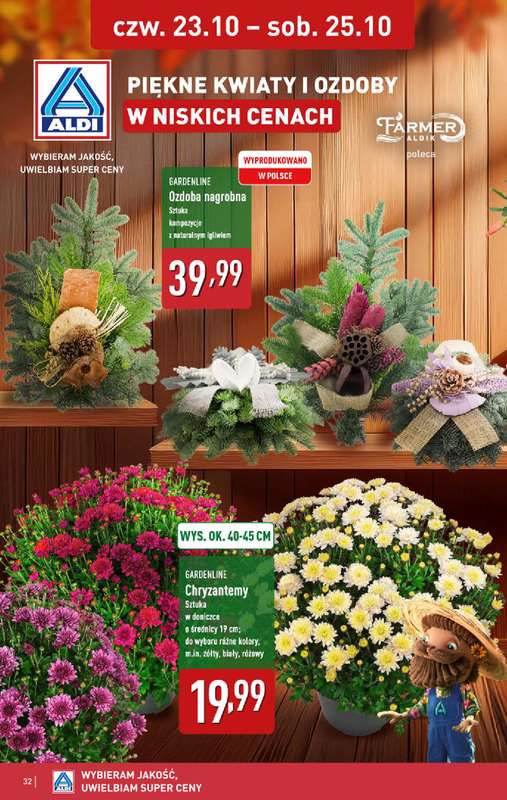 Aldi - gazetka promocyjna Pełny katalog! od poniedziałku 20.10 do soboty 25.10 - strona 32
