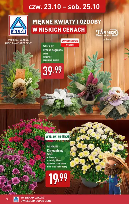 Aldi - gazetka promocyjna Pełny katalog! od poniedziałku 20.10 do soboty 25.10 - strona 32