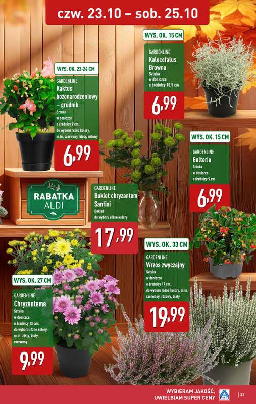 Aldi - gazetka promocyjna Pełny katalog! od poniedziałku 20.10 do soboty 25.10 - strona 33