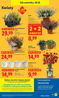 Lidl - gazetka promocyjna Oferta od czwartku od czwartku 16.10 do soboty 18.10 - strona 62