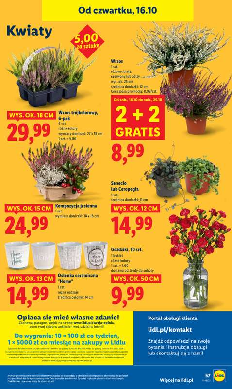 Lidl - gazetka promocyjna Oferta od czwartku od czwartku 16.10 do soboty 18.10 - strona 62