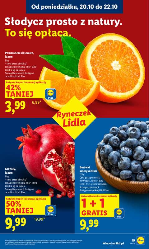 Lidl - gazetka promocyjna Oferta od poniedziałku od poniedziałku 20.10 do środy 22.10 - strona 19