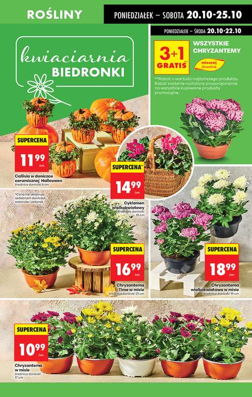 Biedronka - gazetka promocyjna Od poniedziałku, Z ladą tradycyjną od poniedziałku 20.10 do niedzieli 26.10 - strona 75