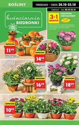 Biedronka - gazetka promocyjna Od poniedziałku, Z ladą tradycyjną od poniedziałku 20.10 do niedzieli 26.10 - strona 75 Biedronka - gazetka promocyjna Od poniedziałku, Z ladą tradycyjną od poniedziałku 20.10 do niedzieli 26.10 - strona 75