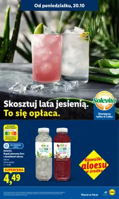 Lidl - gazetka promocyjna Oferta od poniedziałku od poniedziałku 20.10 do środy 22.10 - strona 47