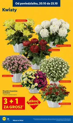 Lidl - gazetka promocyjna Oferta od poniedziałku od poniedziałku 20.10 do środy 22.10 - strona 68