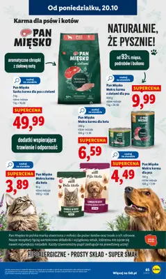 Lidl - gazetka promocyjna Oferta od poniedziałku od poniedziałku 20.10 do środy 22.10 - strona 65