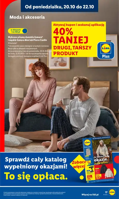 Lidl - gazetka promocyjna Oferta od poniedziałku od poniedziałku 20.10 do środy 22.10 - strona 17