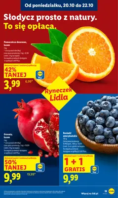 Lidl - gazetka promocyjna Oferta od poniedziałku od poniedziałku 20.10 do środy 22.10 - strona 19