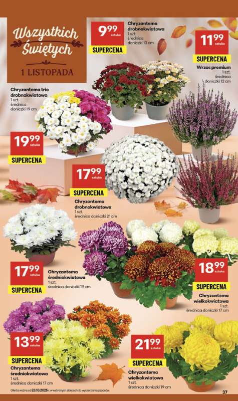 Delikatesy Centrum - gazetka promocyjna Gazetka  do środy 29.10 - strona 37