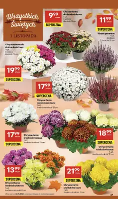 Delikatesy Centrum - gazetka promocyjna Gazetka  do środy 29.10 - strona 37 Delikatesy Centrum - gazetka promocyjna Gazetka  do środy 29.10 - strona 37