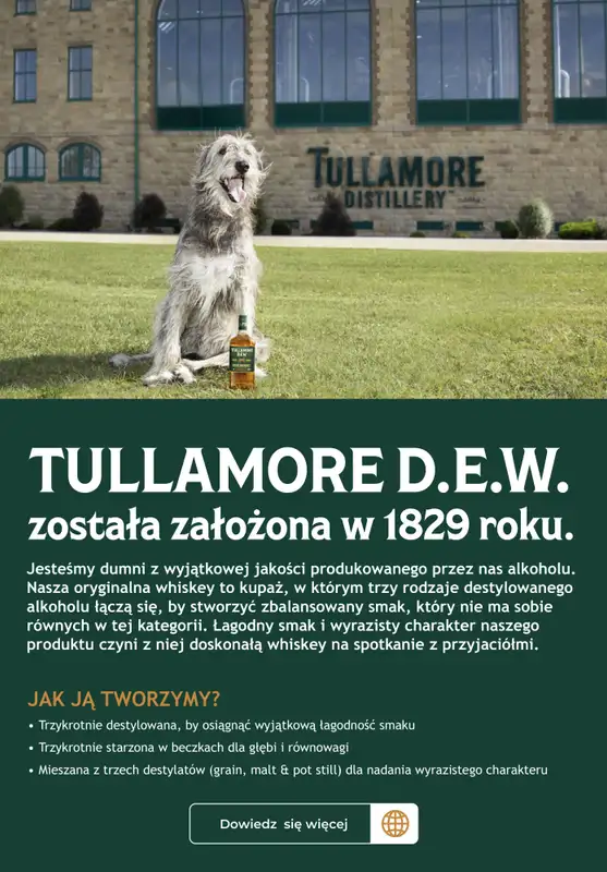 Biedronka - gazetka promocyjna Katalog Whisky w Biedronce   - strona 2