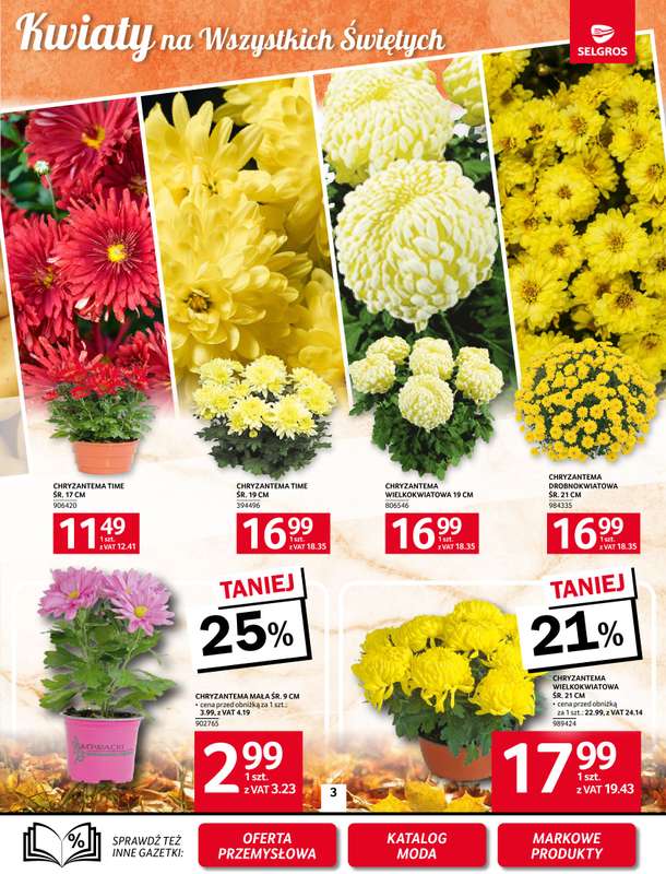 Selgros - gazetka promocyjna Oferta spożywcza od czwartku 23.10 do środy 05.11 - strona 3