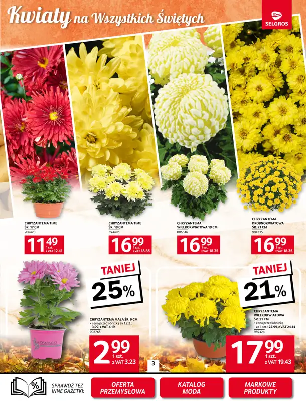 Selgros - gazetka promocyjna Oferta spożywcza   - strona 3