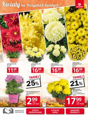 Selgros - gazetka promocyjna Oferta spożywcza od czwartku 23.10 do środy 05.11 - strona 3 Selgros - gazetka promocyjna Oferta spożywcza od czwartku 23.10 do środy 05.11 - strona 3