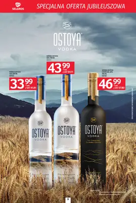 Selgros - gazetka promocyjna Specjalna Oferta Jubileuszowa od czwartku 23.10 do środy 05.11 - strona 9