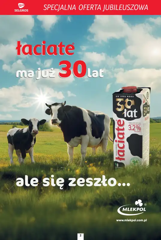 Selgros - gazetka promocyjna Specjalna Oferta Jubileuszowa   - strona 2