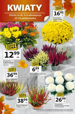 Auchan - gazetka promocyjna Gazetka Wielkie przeboje cenowe Hipermarket Auchan  do środy 29.10 - strona 6 Auchan - gazetka promocyjna Gazetka Wielkie przeboje cenowe Hipermarket Auchan  do środy 29.10 - strona 6