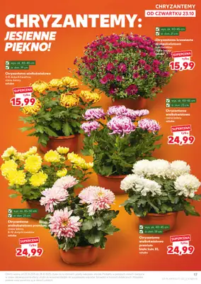 Kaufland - gazetka promocyjna Oferta Kaufland od czwartku 23.10 do wtorku 28.10 - strona 17 Kaufland - gazetka promocyjna Oferta Kaufland od czwartku 23.10 do wtorku 28.10 - strona 17