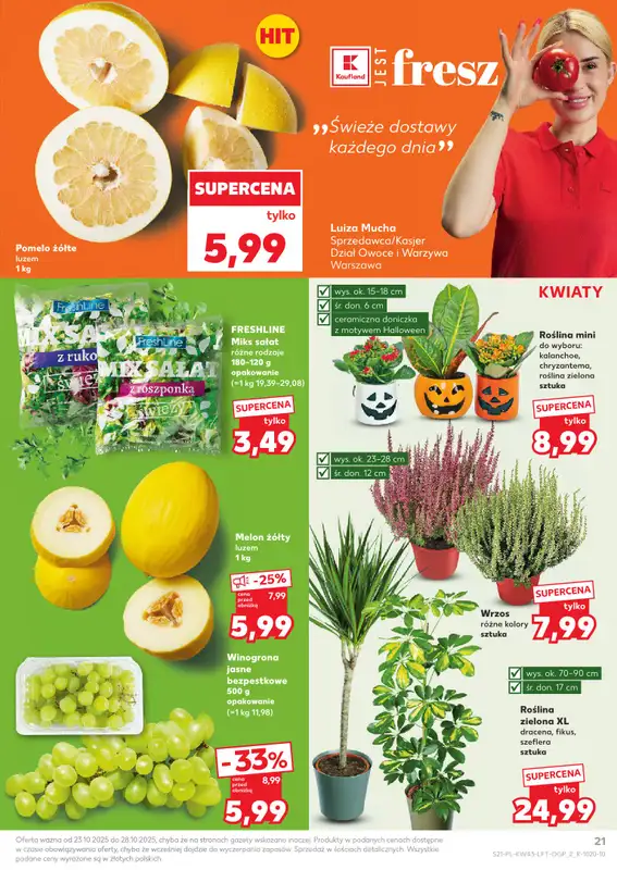 Kaufland - gazetka promocyjna Oferta Kaufland od czwartku 23.10 do wtorku 28.10 - strona 21