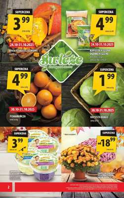 Arhelan - gazetka promocyjna Gazetka od piątku 24.10 do niedzieli 02.11 - strona 2