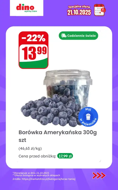 Dino - gazetka promocyjna Specjalna oferta na 21.10.2025 - promocje spoza gazetki   - strona 3